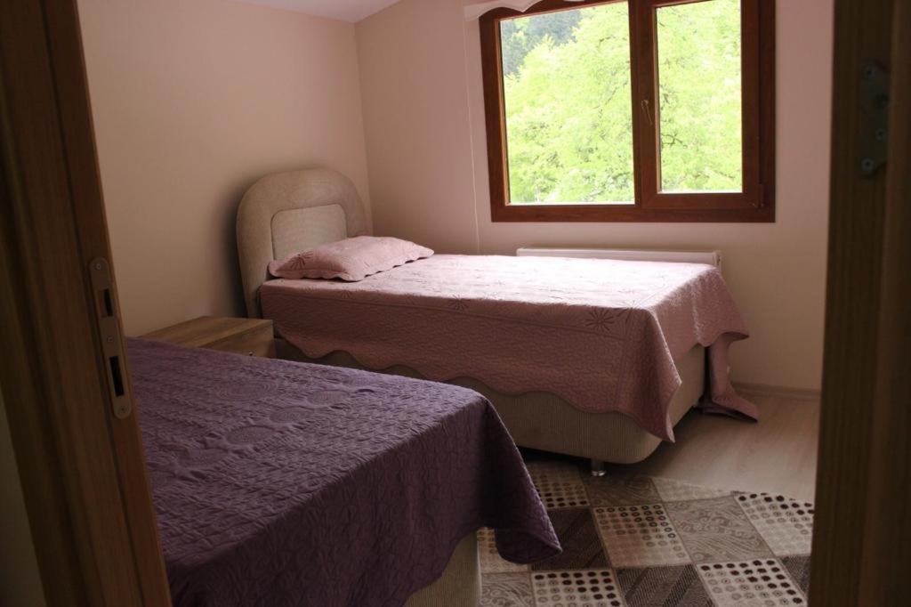 Sefa Apart Uzungöl Exterior foto